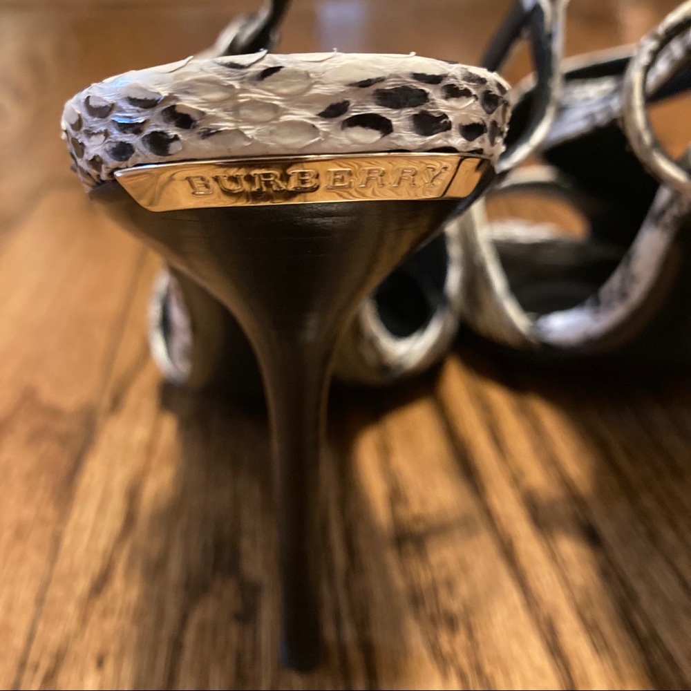 Burberry Python Stilettos - image 5
